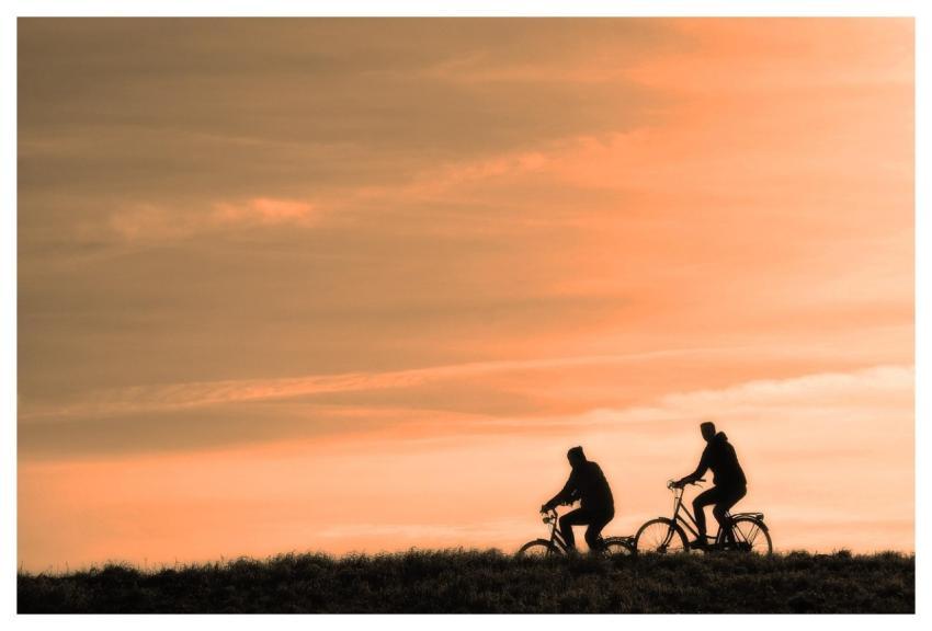 Cyclist Person Nature People