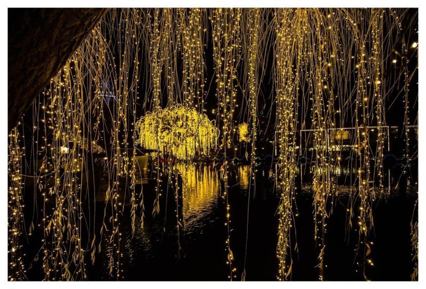 Gold Darkness Wood No Person