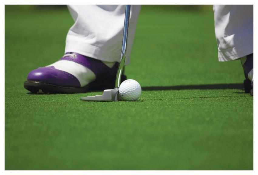 Golf Golf Ball Golfing Hole