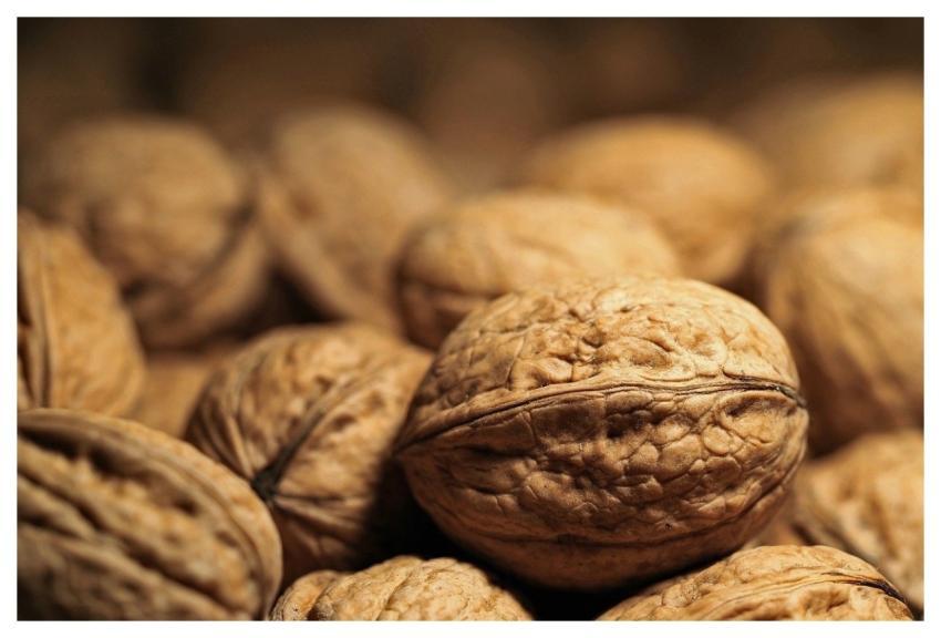 Nuts Walnuts Healthy Nourishment