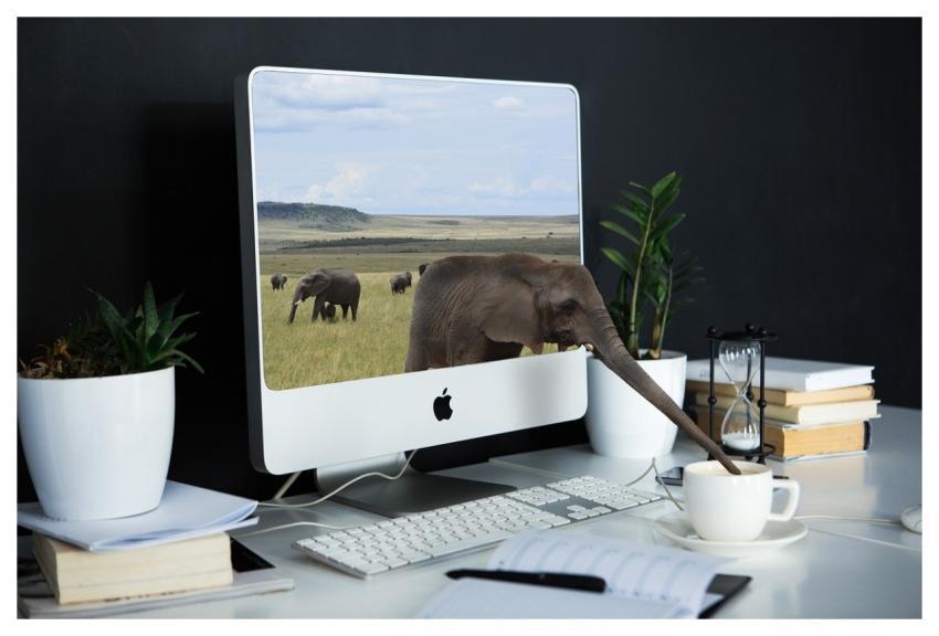 Computer Laptop Technology Desk