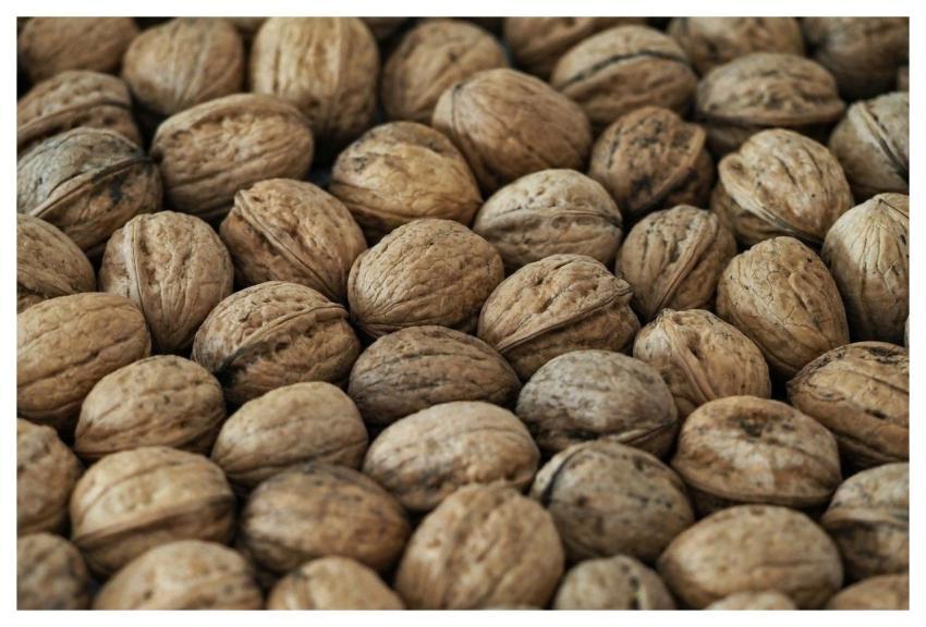 Walnuts Food Organic Snack