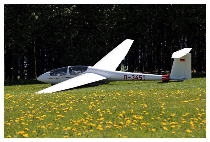 Glider Meadow Flying Plane