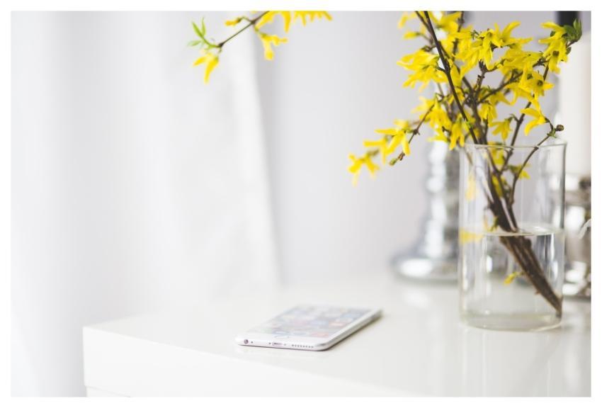 Iphone Iphone 6 Iphone 6 Plus Nature