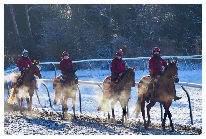 Newmarket Racecourse Jockey Winter