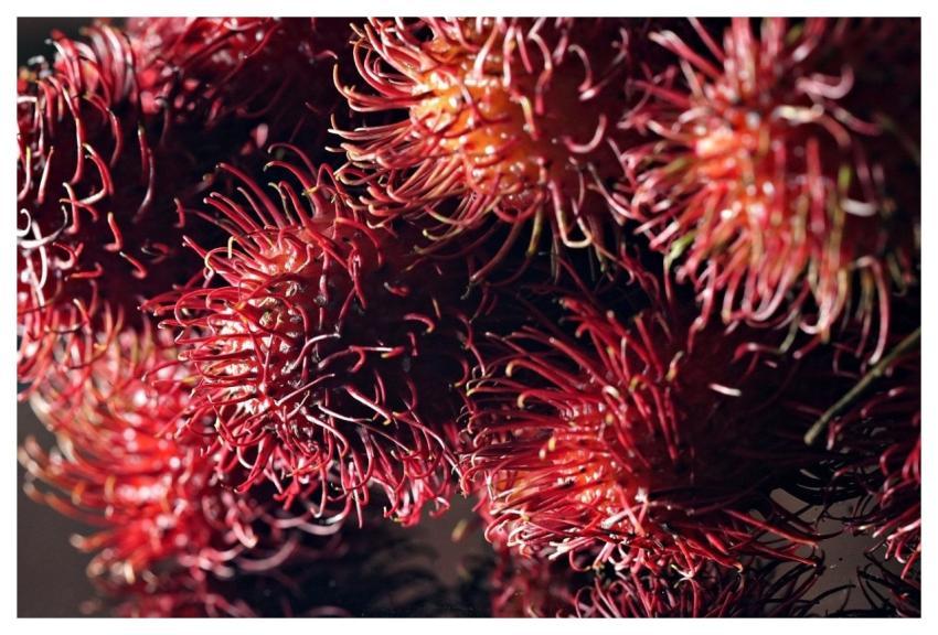 Fruit Rambutan Food Red