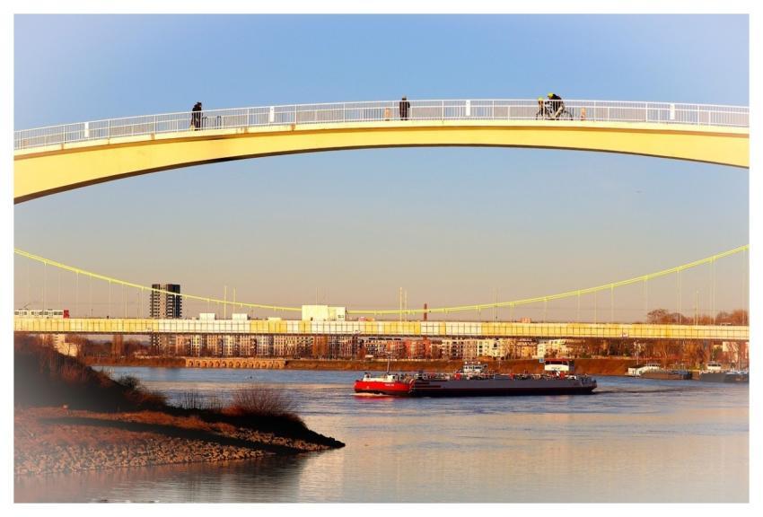 Bridges Rhine Nature River