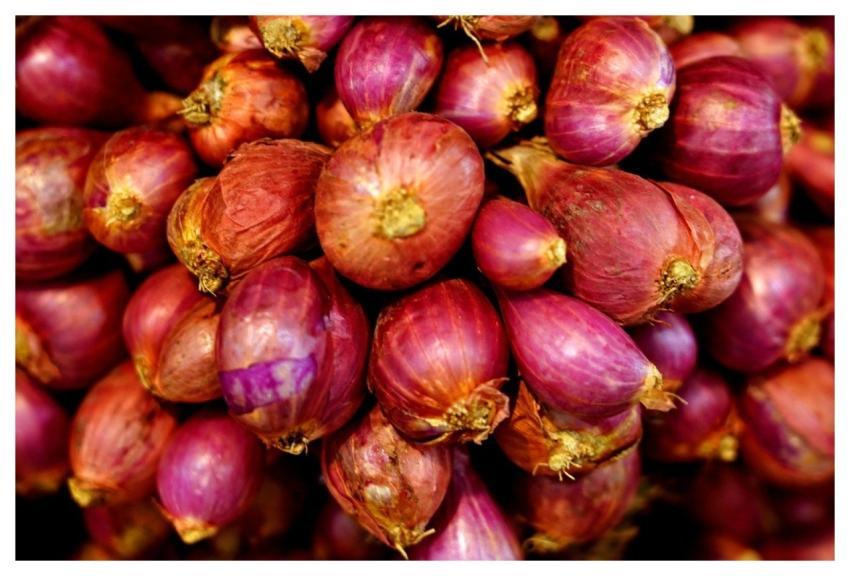 Vegetable Onions Organic Produce