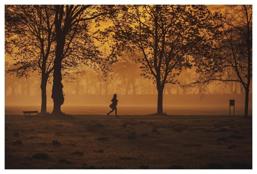 Jogger Trees Park Silhouette