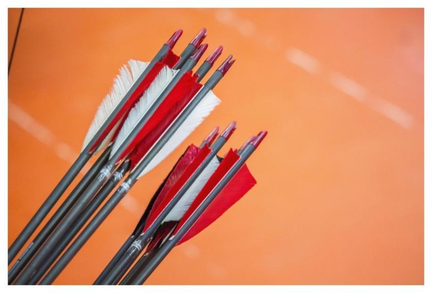 Bows Arrows Archery Sport