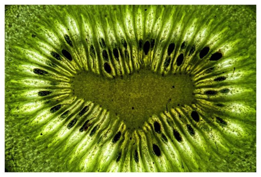 Kiwi Fruit Abstract Green