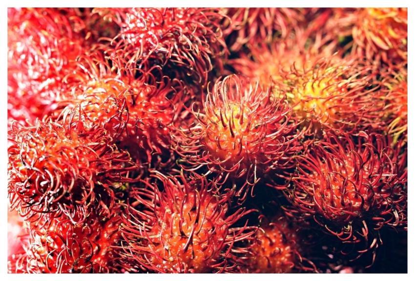Rambutan Fruits Food Ripe