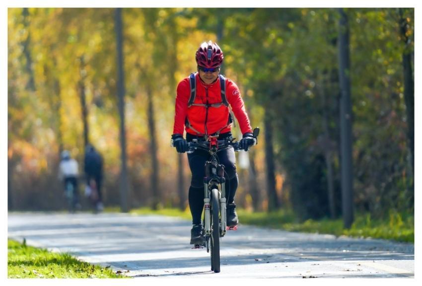 Cyclist South Korea Park Bicycle