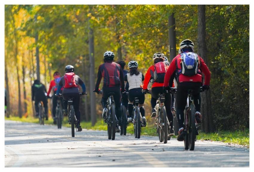 Bicycle Sports Exercise Health