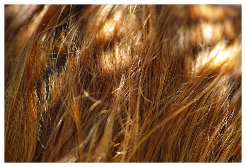 Hair Texture Abstract Engin-Akyurt
