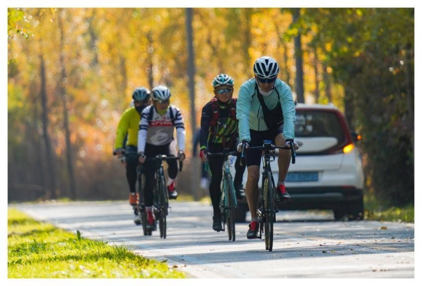 Bicycle Sports Exercise Health