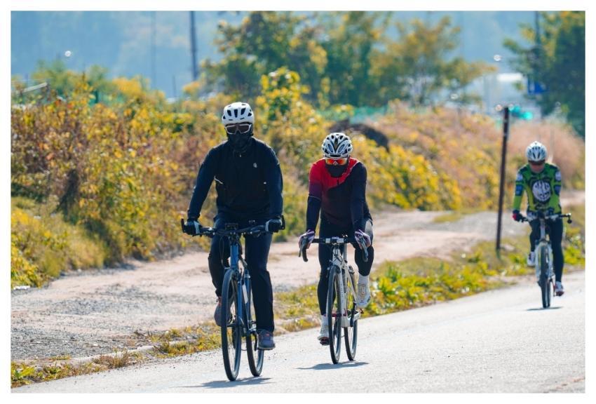 Bicycle Sports Exercise Health