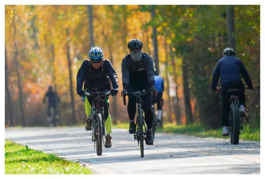 Bicycle Sports Exercise Health