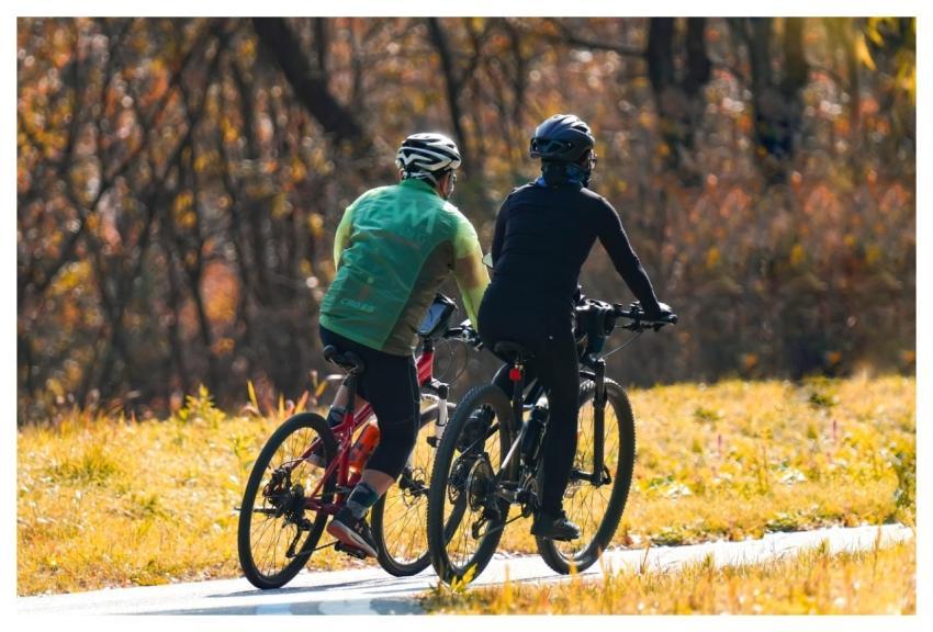 Bicycle Sports Exercise Health