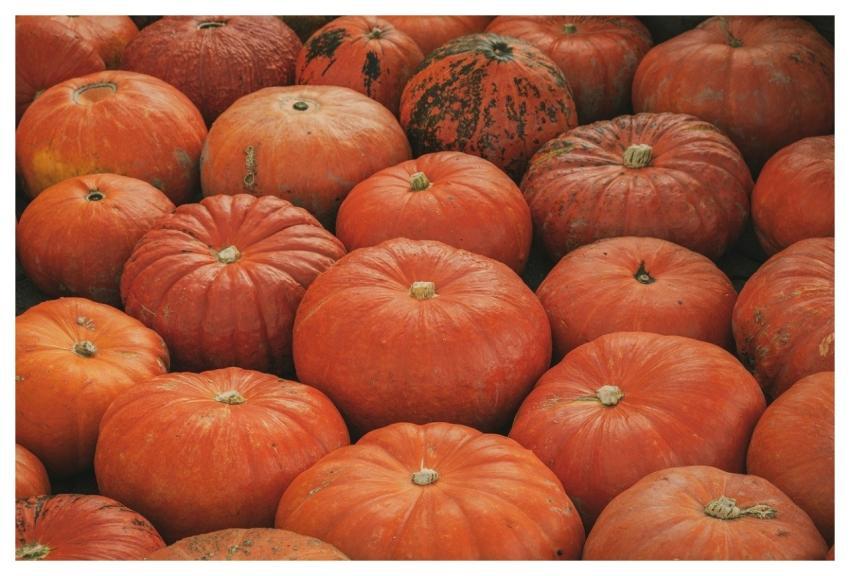 Pumpkins Halloween Fall Vegetables