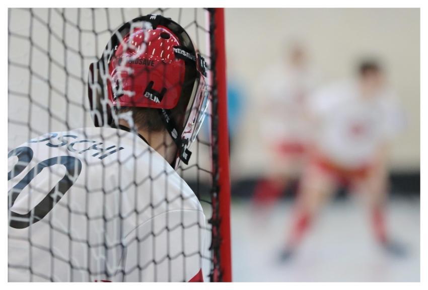 Unihockey Sport Goal Goalie