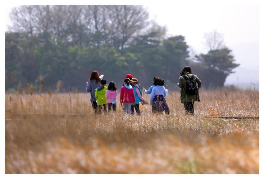 Children Education Windows Wallpaper Laptop Wallpa