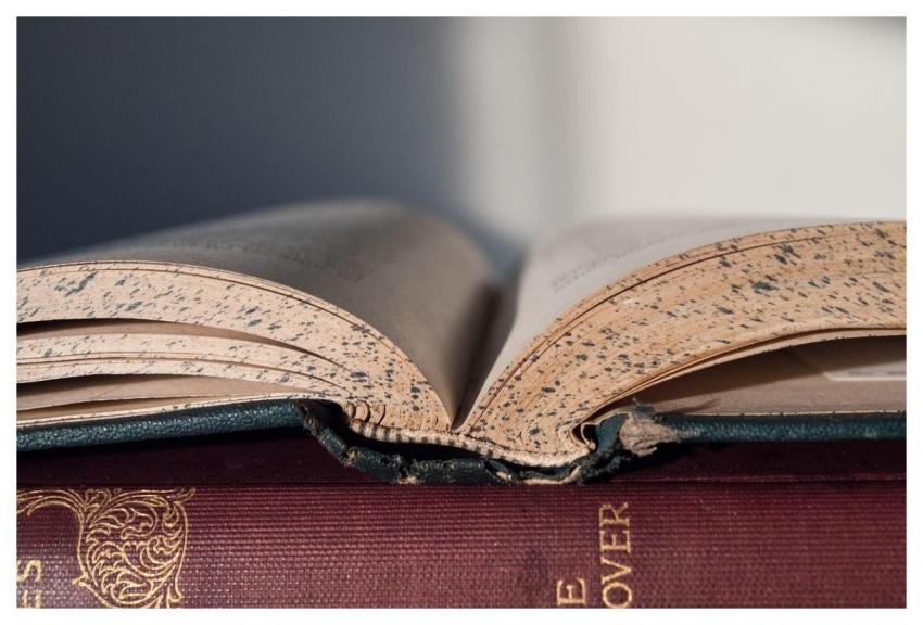 Book Wallpaper 4K Mac Wallpaper Reading