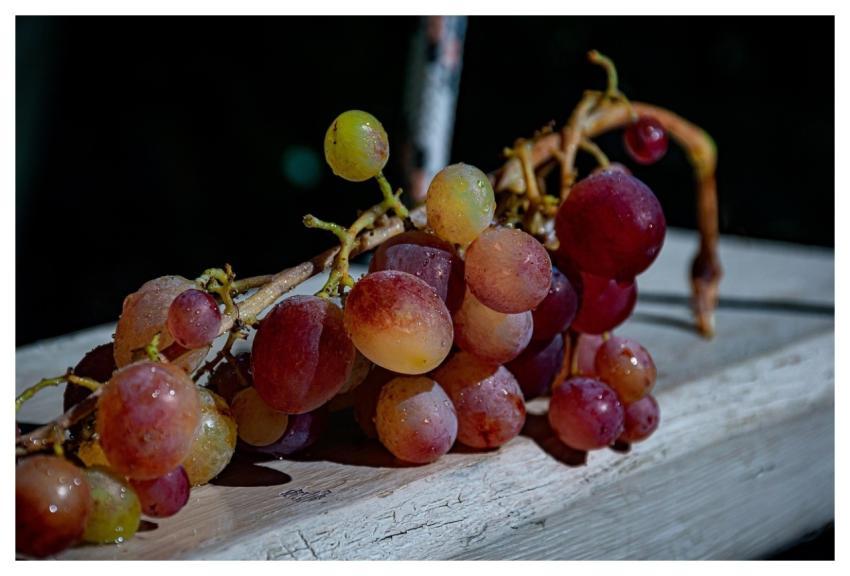Grapes Fruit Food Sweet