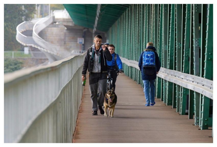 People Bridge Walking Animal