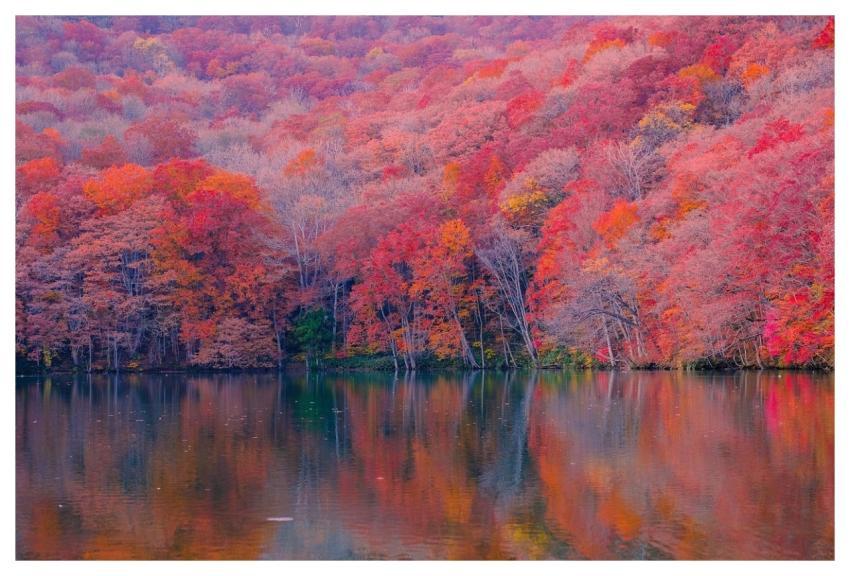 Autumn Forest Lake Nature