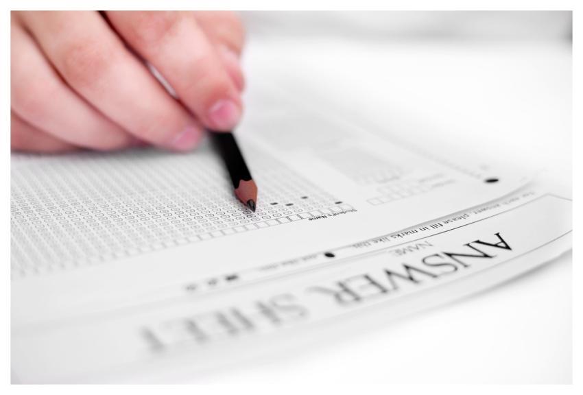 Hand White Hand Brown Hand Working Hand