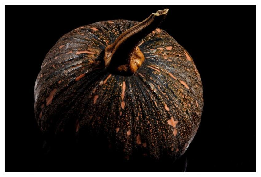 Pumpkin Halloween Nature Vegetable