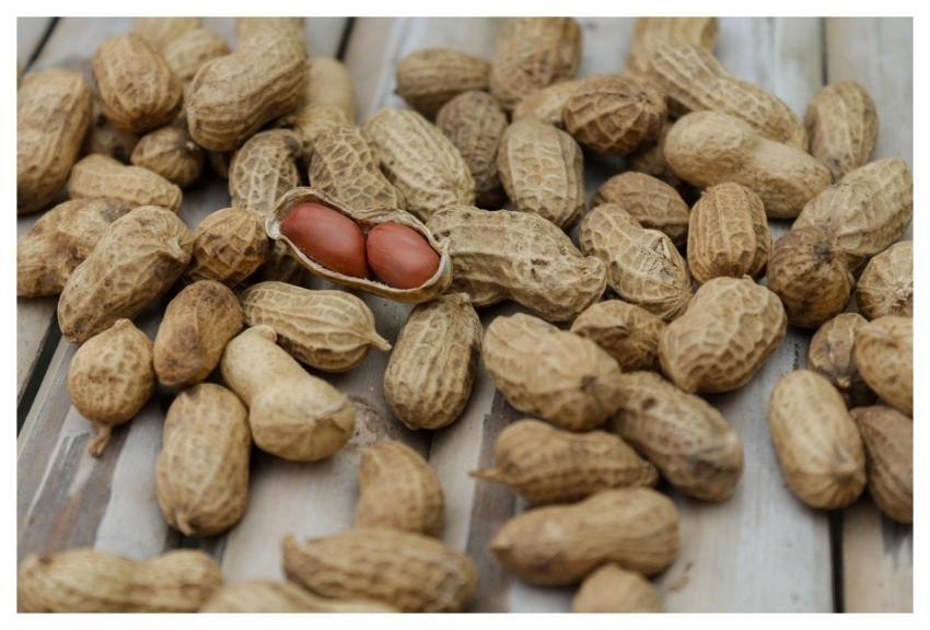 Peanuts Nuts Food Diet