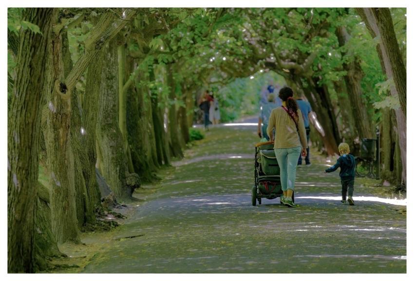 Trees Woman Mother People