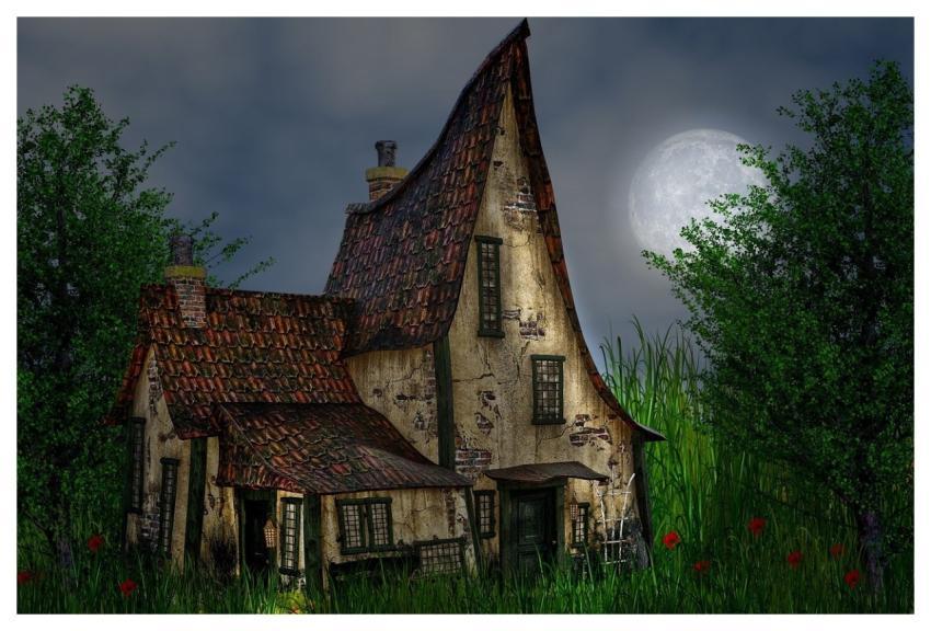 The Night Moon Nature Night