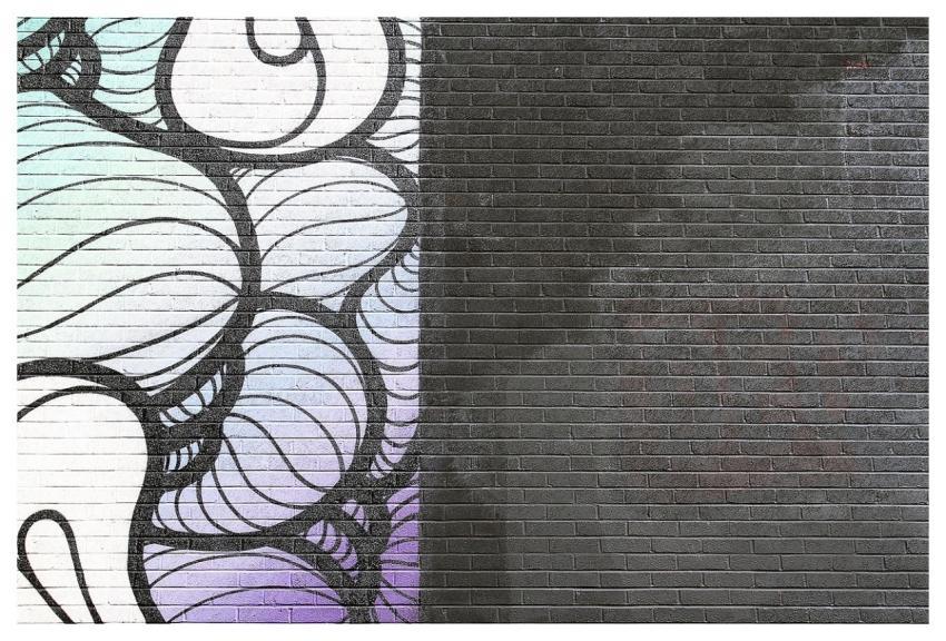 Wall Bricks Paint Pattern