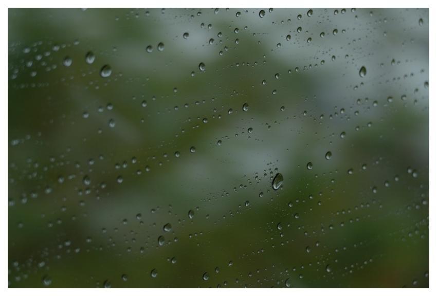 Abstract Nature Rain Insubstantial