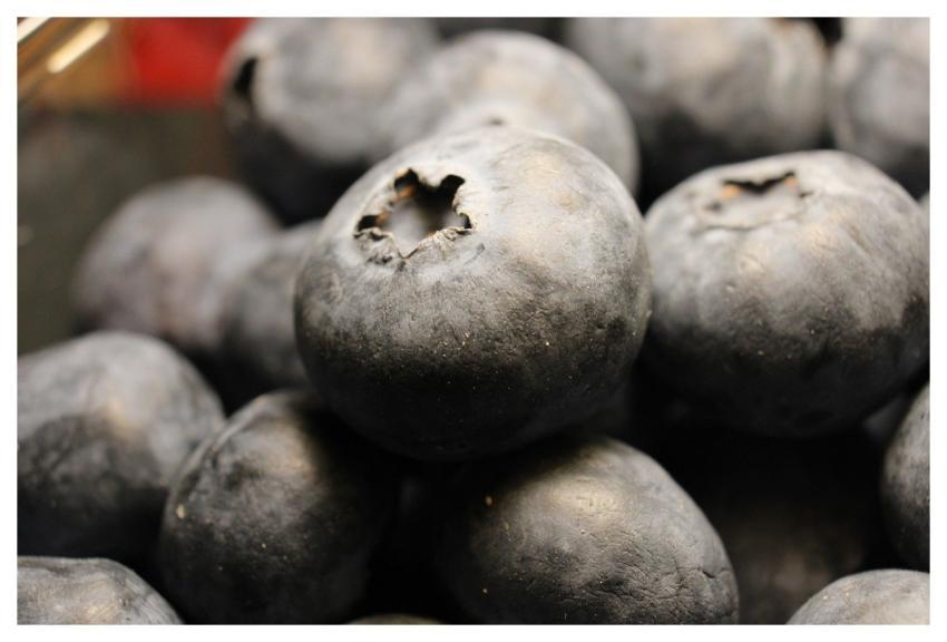 Bilberry Nature Fruit Food