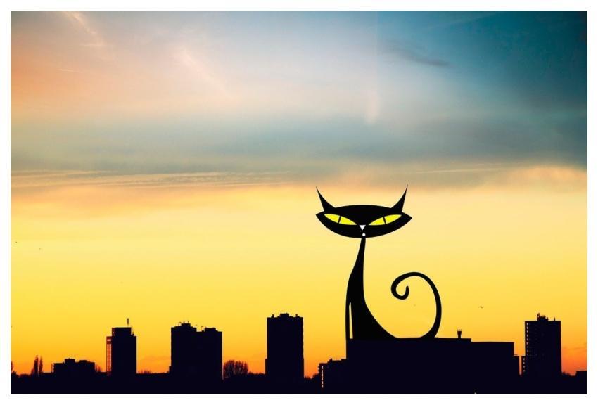 Landscape Darling Pet Cat