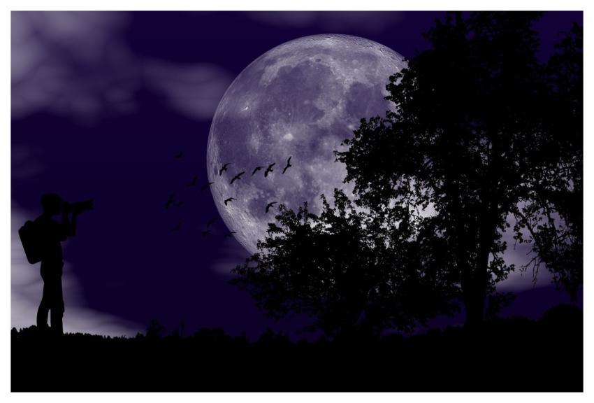 Night Moon Photographer Full Moon