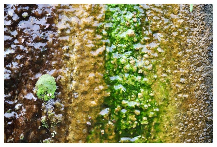 Stone Wetness Fountain Surface Texture