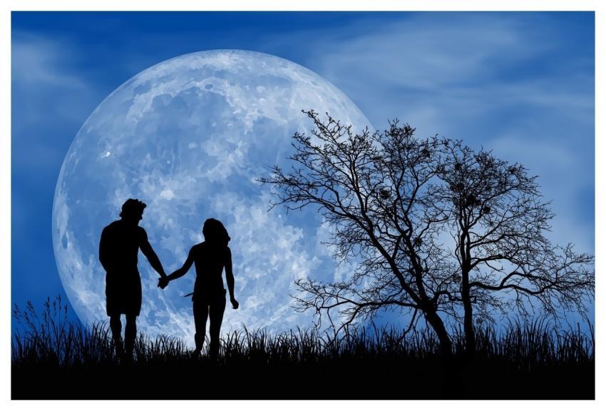 Romantic Romantic Night Full Moon Happy