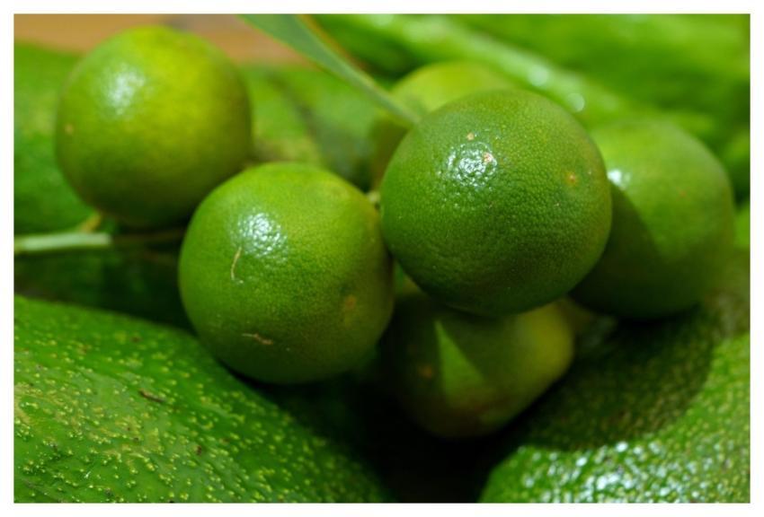 Orange Tangerine Fruit Food