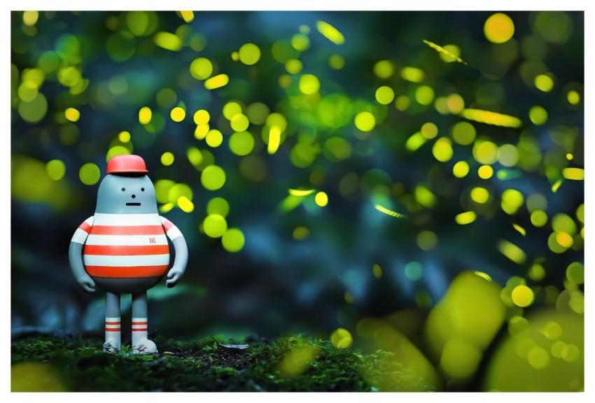 Taiwan Firefly Natural Night
