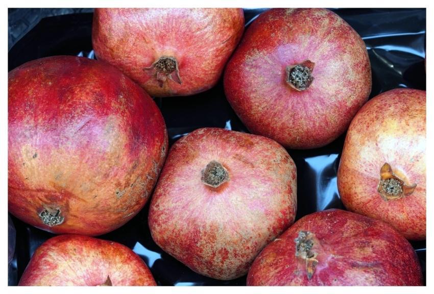Pomegranates Fruits Food Produce