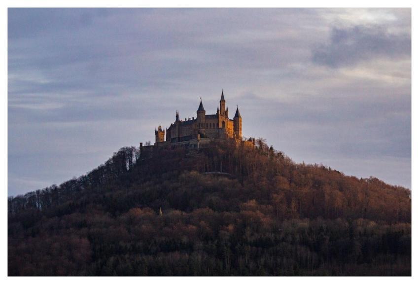 Mountain Castle Trees Woods