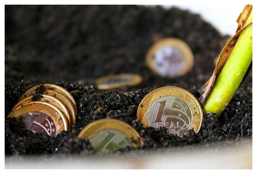 Real Money Brazilian Money Financial Education