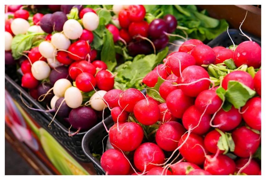 Radish Vegetables Food Healthy