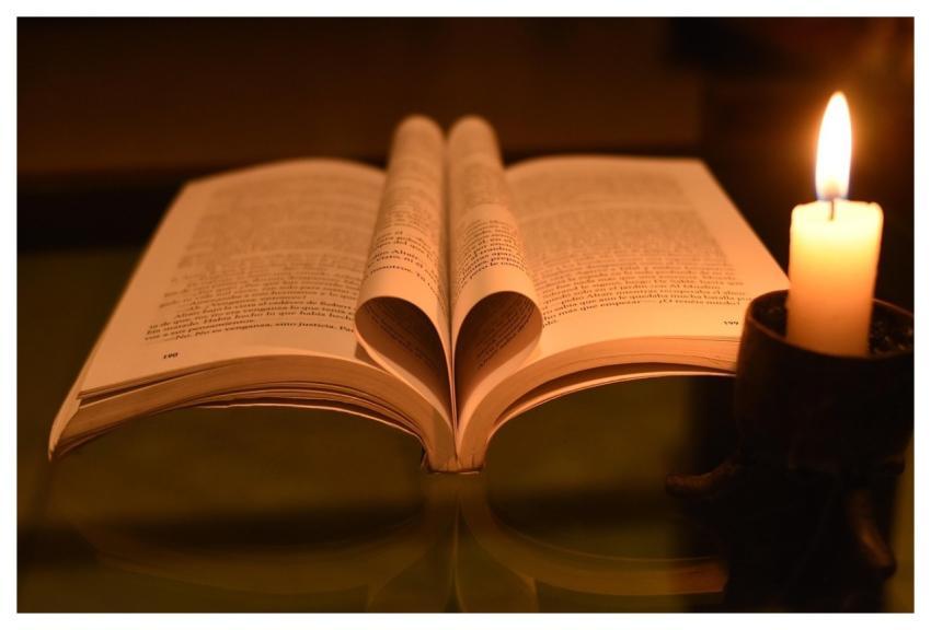 Literature Book Library Cognition