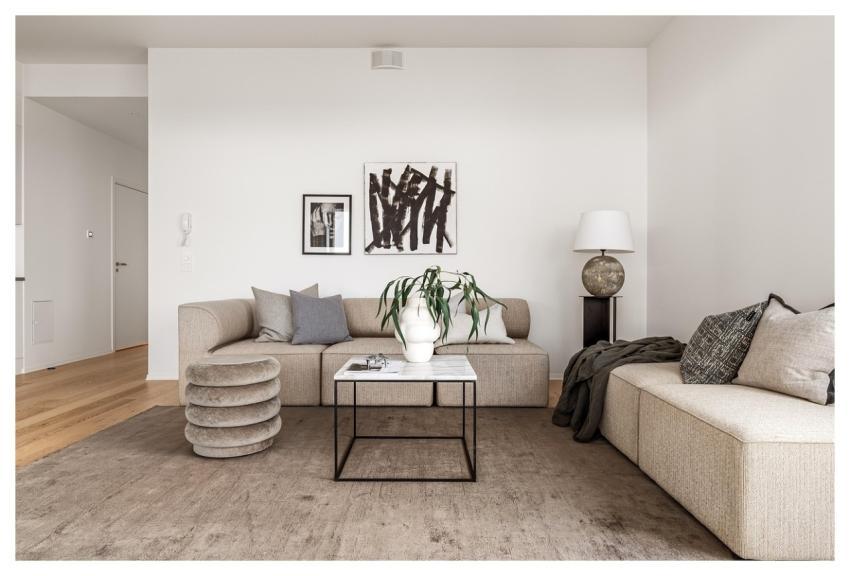 Real Estate Sofa Living Room Interior